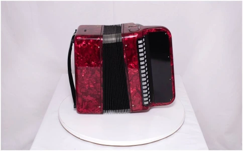 ТУЛЬСКАЯ ГАРМОНЬ БН-42 RD - Баян фото 6