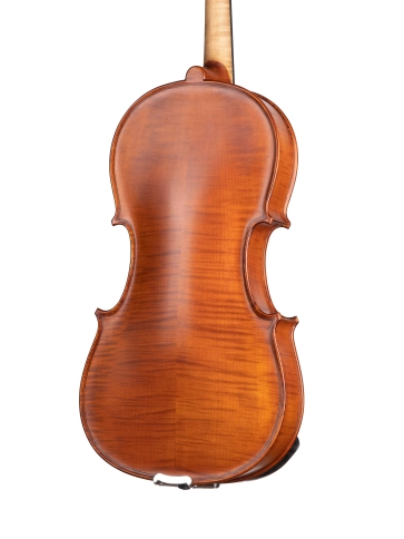 AW-V16 Workshop Gems 1 Альт, Gliga фото 3