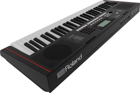 Синтезатор ROLAND E-X10 фото 3