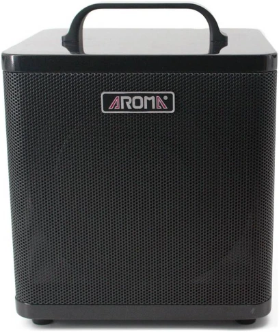 AROMA AG-40A BK - Комбоусилитель для акустической гитары фото 2