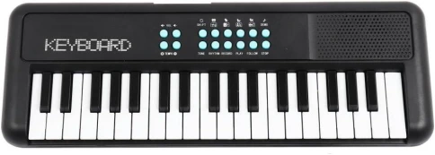 TERRIS TK-100 BK - Синтезатор фото 1