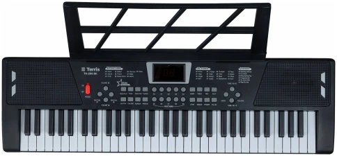 TERRIS TK-200 BK - Синтезатор фото 1
