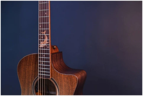 CRAFTER MIND W PREMIUM De - Гитара электроакустическая шестиструнная фото 4