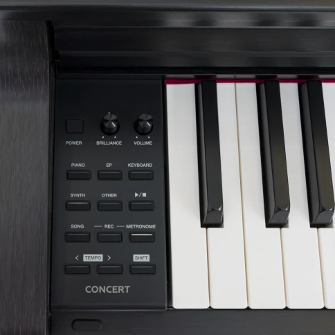 Цифровое фортепиано ROCKDALE Concert Rosewood фото 15