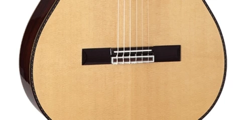 Классическая гитара TAKAMINE TH90 фото 3