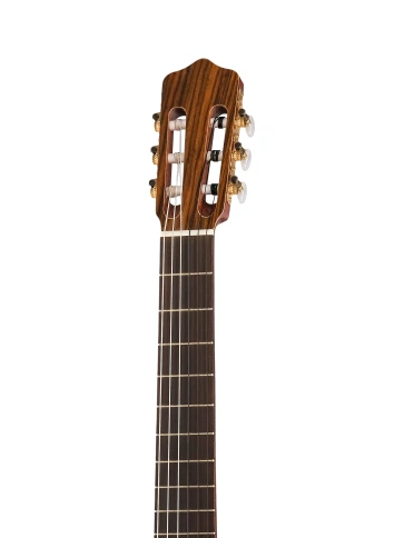 RM Rosa Morena Flamenco Series Классическая гитара, Kremona фото 3