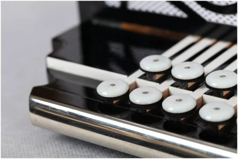 ТУЛЬСКАЯ ГАРМОНЬ Г-3 BK - Гармонь 3-голосная фото 7