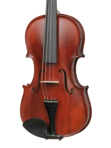 AW-V044-S Workshop Gems 1 Special Antique Скрипка 4/4, Gliga фото 2