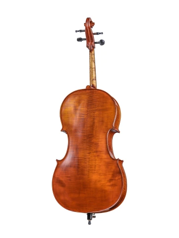 AW-C044 Workshop Gems 1 Виолончель 4/4, Gliga фото 4