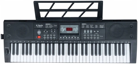 TERRIS TK-250 BK - Синтезатор фото 1