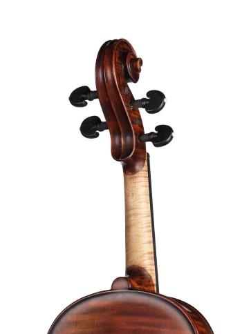 P-V044-S Professional Gama Special Antique Скрипка 4/4, Gliga фото 6