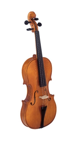 29w-1/2 Скрипка студенческая, Strunal фото 1