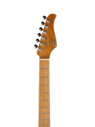 Электрогитара с процессором эффектов GTRS P801-Professional-801-GR фото 2