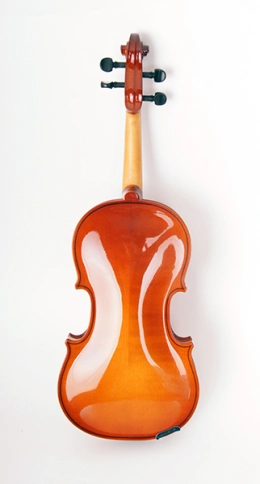 B16-1/2 Скрипка в футляре со смычком Strunal фото 6