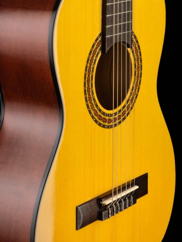 N1010-1/2 Spanish Классическая гитара Hora фото 7