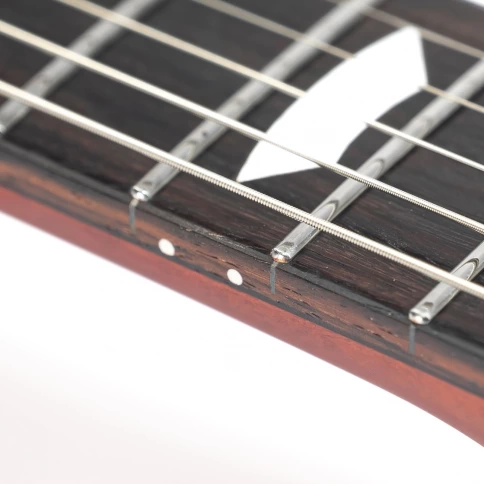 Электрогитара EART EGLP-610 Honey Tea фото 10