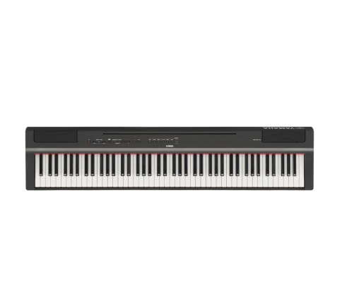 Цифровое фортепиано Yamaha P-125aB фото 1