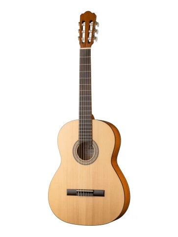 N1226-4/4 Student Классическая гитара Hora фото 1