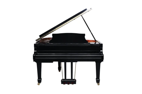 Цифровой рояль Medeli GP805 фото 8
