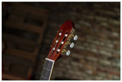 PEAVEY CNS 2 - Гитара классическая 4/4 фото 5