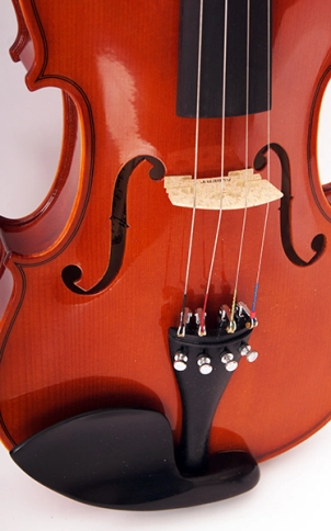 920-4/4 Скрипка студенческая 4/4 Strunal фото 2