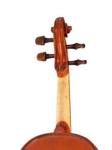 SG-V034 Student Genial I Gloria Скрипка 3/4, Gliga фото 6