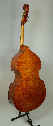 5/21We-4/4 Контрабас 4/4 полупрофессиональный, матовый, Strunal фото 2