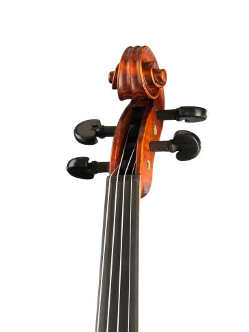 PU-V044-OH Professional Gama Unique Ash Скрипка 4/4, Gliga фото 2