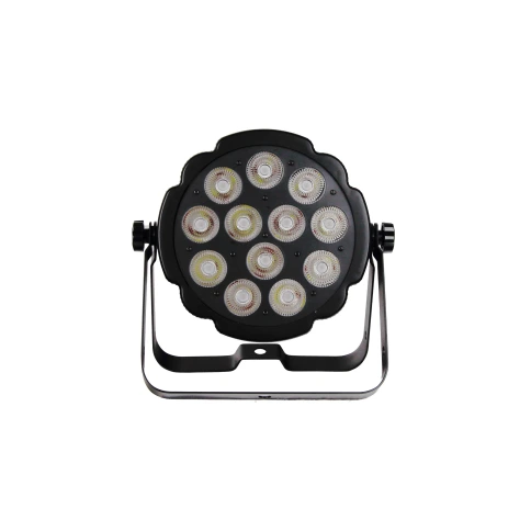 INVOLIGHT LEDSPOT124 - светодиодный прожектор, 12 х 5 Вт RGBW мультичип, DMX фото 2