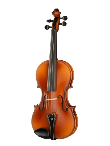 V100-1/2 Student Скрипка студенческая Hora фото 1