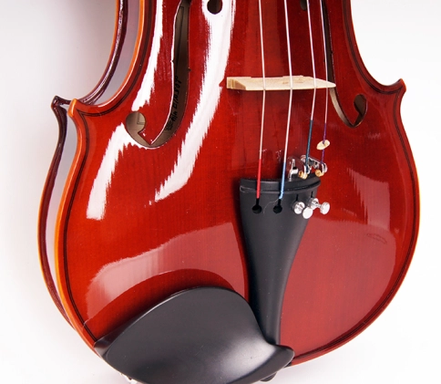 205wA-4/4 Скрипка концертная Strunal фото 2