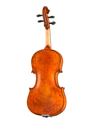 P-V044-OB Proffesional Gama OPB Birds Eye Скрипка 4/4, Gliga фото 4