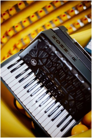 HOHNER Bravo my Color III 72 Twilight - Аккордеон 3/4 фото 2