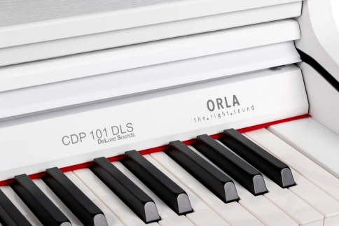 Цифровое пианино Orla CDP-101 SATIN WHITE фото 3