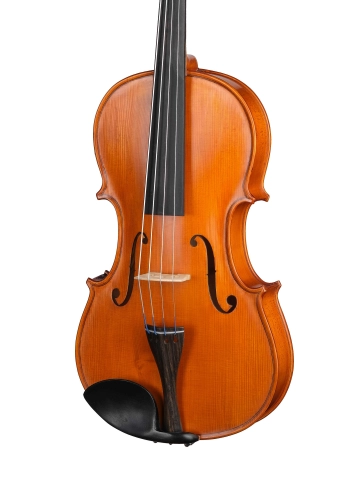 S-V165 Student Genial 1 Oil Альт, Gliga фото 2