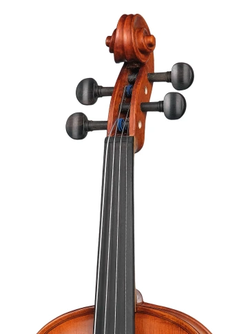 AW-V044-OB Workshop Gems 1 OPB Birds Eye Скрипка 4/4, Gliga фото 3