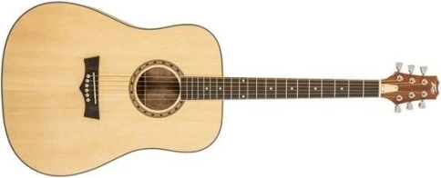 PEAVEY DW-1 w/Bag - Гитара акустическая фото 1