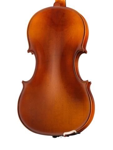 A100-16,5 Rhapsody Student Альт студенческий, Hora фото 6