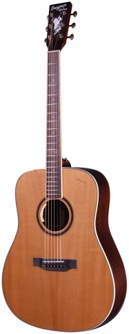 CRAFTER SungEum D-50th VVS - Гитара акустическая шестиструнная фото 1