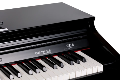 Цифровое пианино Orla CDP-101 POLISHED BLACK фото 4