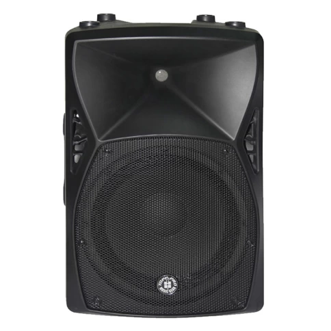 Акустическая система TOPP PRO TP XCS15A фото 2