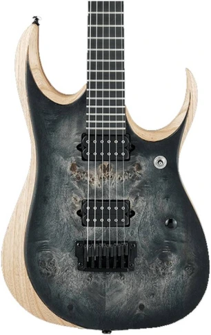 Электрогитара IBANEZ RGDIX6PB-SKB IIRON LABEL фото 2