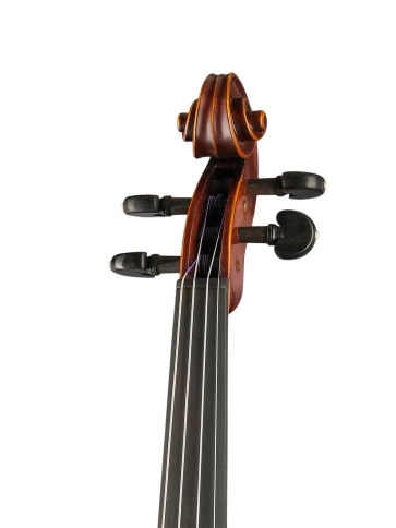 M-V044-N Master Gliga extra Walnut Скрипка 4/4, Gliga фото 2