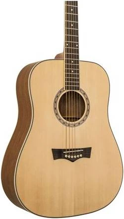 PEAVEY DW-1 w/Bag - Гитара акустическая фото 3