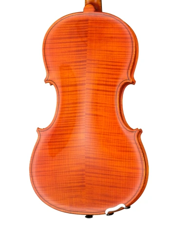 3/160 Альт 41см, Strunal фото 6