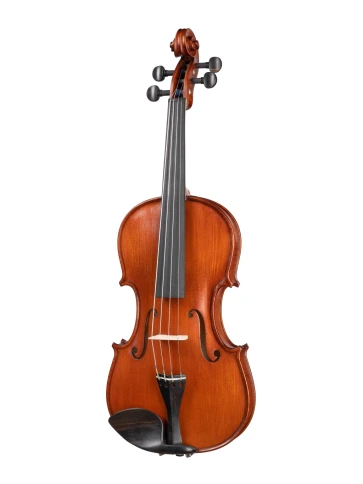 AW-V044 Workshop Gems 1 Скрипка 4/4, Gliga фото 1