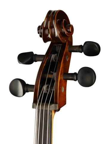 4/4we-4/4 Виолончель полупрофессиональная, Strunal фото 4