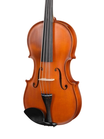 S-V16 Student Genial 1 Oil Альт, Gliga фото 2