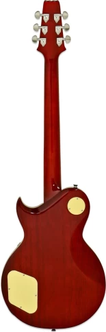 Электрогитара ARIA PRO II PE-590STD AGCS фото 3