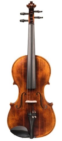 V250-4/4 Academy Скрипка 4/4, Hora фото 1